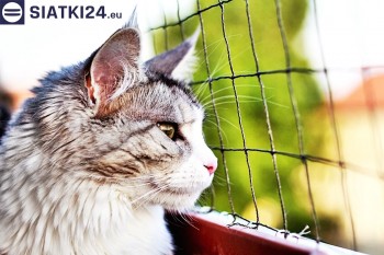 Siatki Wejherowo - Siatka na balkony dla kota i zabezpieczenie dzieci dla terenów Wejherowa